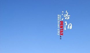 洛陽(yáng)牡丹甲天下&mdash;&mdash;2019年洛陽(yáng)牡丹文化節(jié)賞花大全