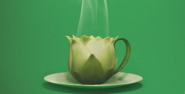 廣告中仿生形態(tài)的運(yùn)用！